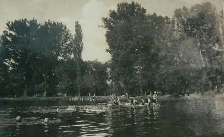 Ostrov